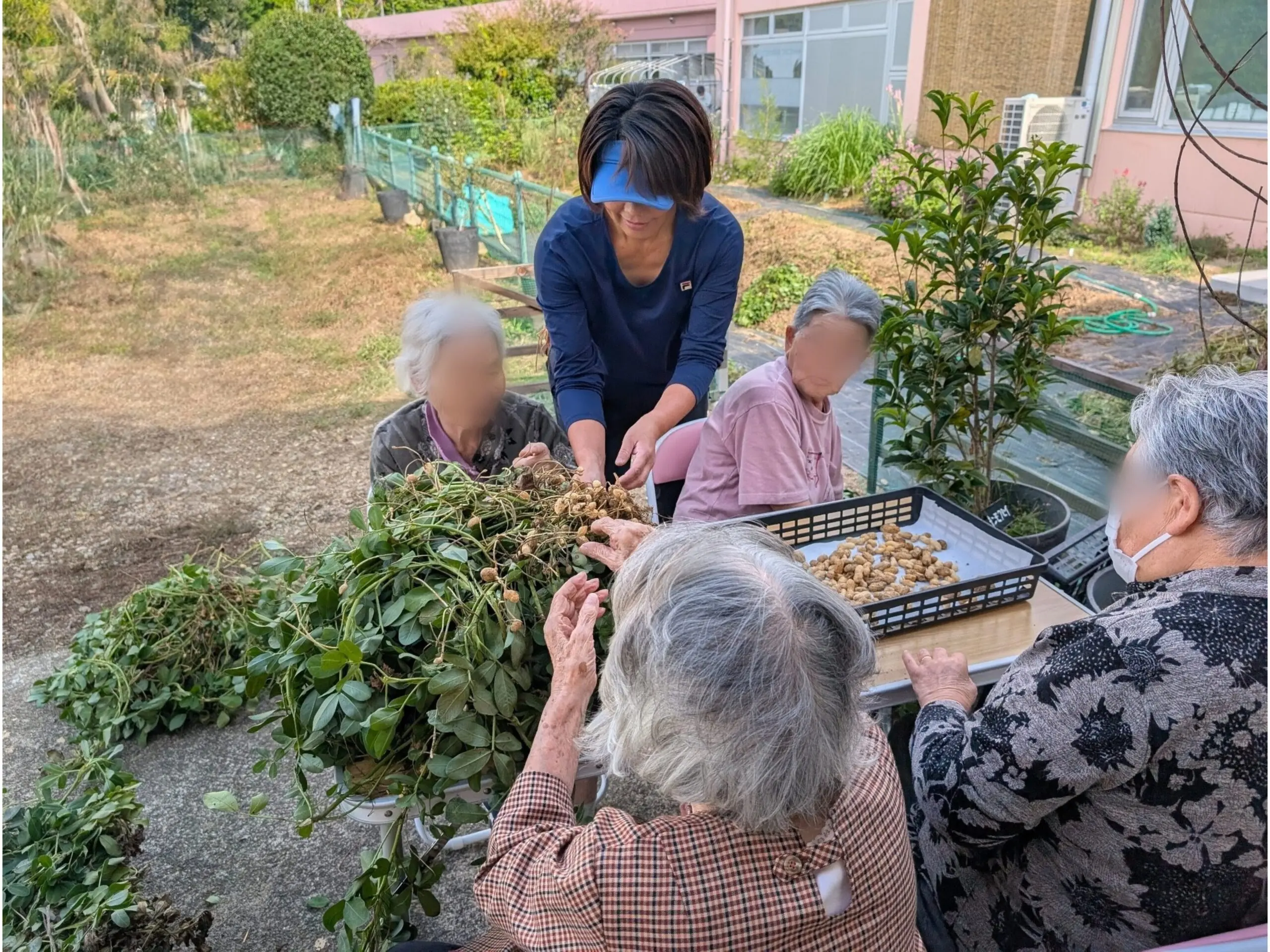 高齢者施設での園芸療法の効果とは？現場で喜ばれる最新の活動事例集